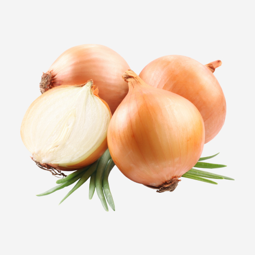 golden onions 5kg (mesh bags packaging)