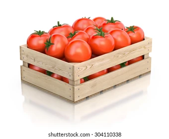 mini-pallet fresh tomatoes